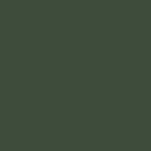 Gunze Sangyo C519 Bronzegrun OTAN