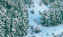 Vallejo 26231 Mousse et Neige 32 ml