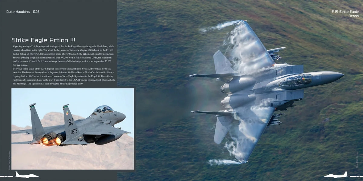 Publications HMH DH-026 Boeing F-15 E/K/SG Strike Eagle - Avion en détail 026 (Version anglaise) – immagine 12