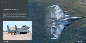 Publications HMH DH-026 Boeing F-15 E/K/SG Strike Eagle - Avion en détail 026 (Version anglaise) – immagine 12