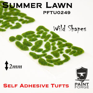 Touffes Paint Forge PFTU0249 : Pelouse d&amp;#39;été sauvage 2 mm