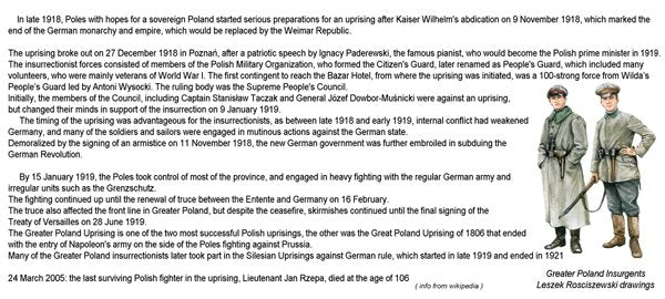 ToRo Modèle 35F119 Insurrection de Grande-Pologne 1918 - Commandant de poste insurgé / Insurrection de Grande-Pologne 1918 Commandant de poste insurgé 1/35 – image 3