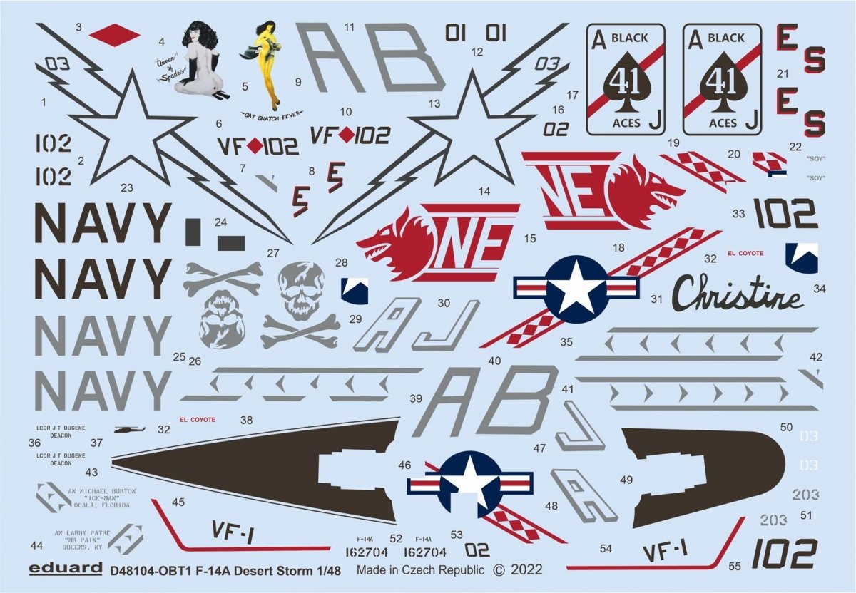 Eduard D48104 F-14A Tempête du désert TAMIYA 1/48