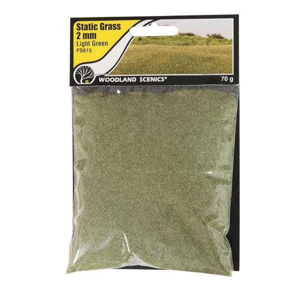 Woodland Scenics WFS615 Herbe statique 2 mm Vert clair