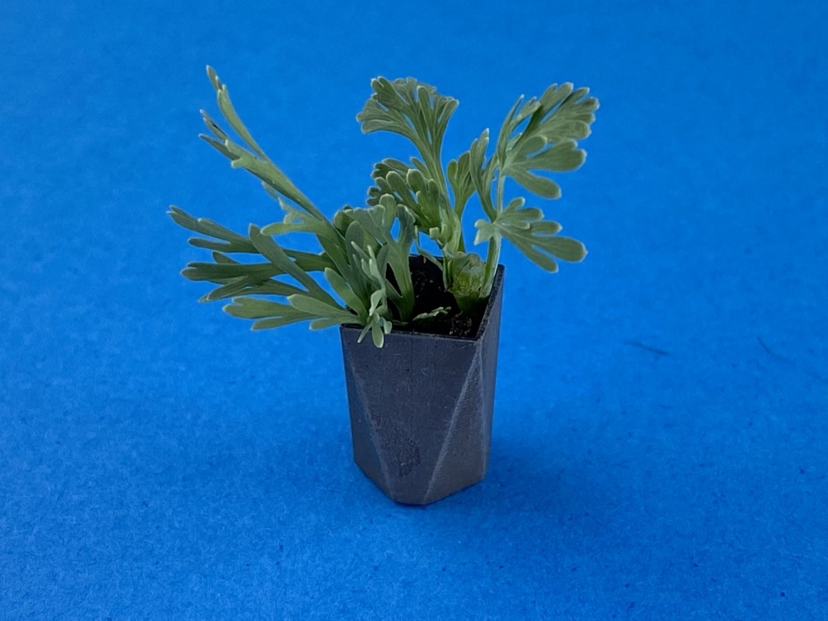 Point of no Return 3522031 Garden Pots 1/35 – image 8