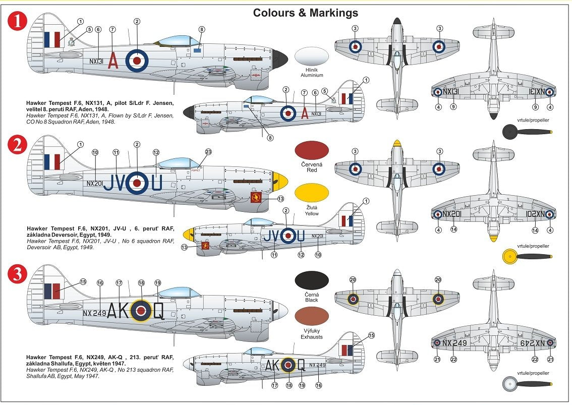 Kovozavody Prostejov KPM0224 Tempest F.6 &amp;quot;Ailes d&amp;#39;argent&amp;quot; 1/72 – immagine 2