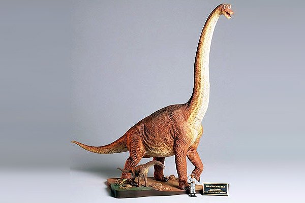 Kit de diorama Brachiosaurus Tamiya 60106 – image 2