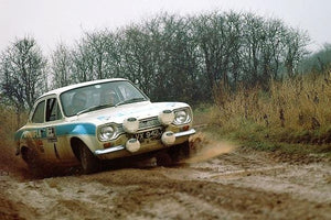 Zero Paints ZP-1332 Ford Escort RS1600 Mk1 WRC Diamond White Paint 60ml (Belkits) – zdjęcie 4