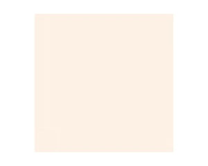 Mr.Color CL-08 Lascivus 18ml - Blanc Noix – image 2