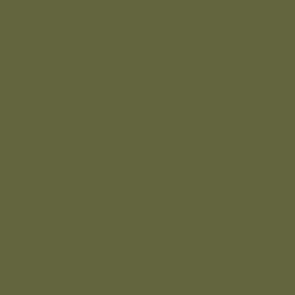 Vallejo 71411 A-19F Vert Herbe 17 ml