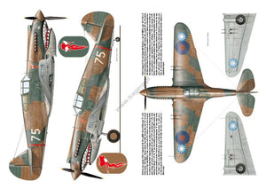 Kagero 3036 Curtiss P-40 vol. Je FR – immagine 3
