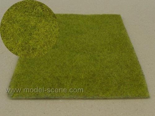Scène modèle F010 Éclairage de zone humide