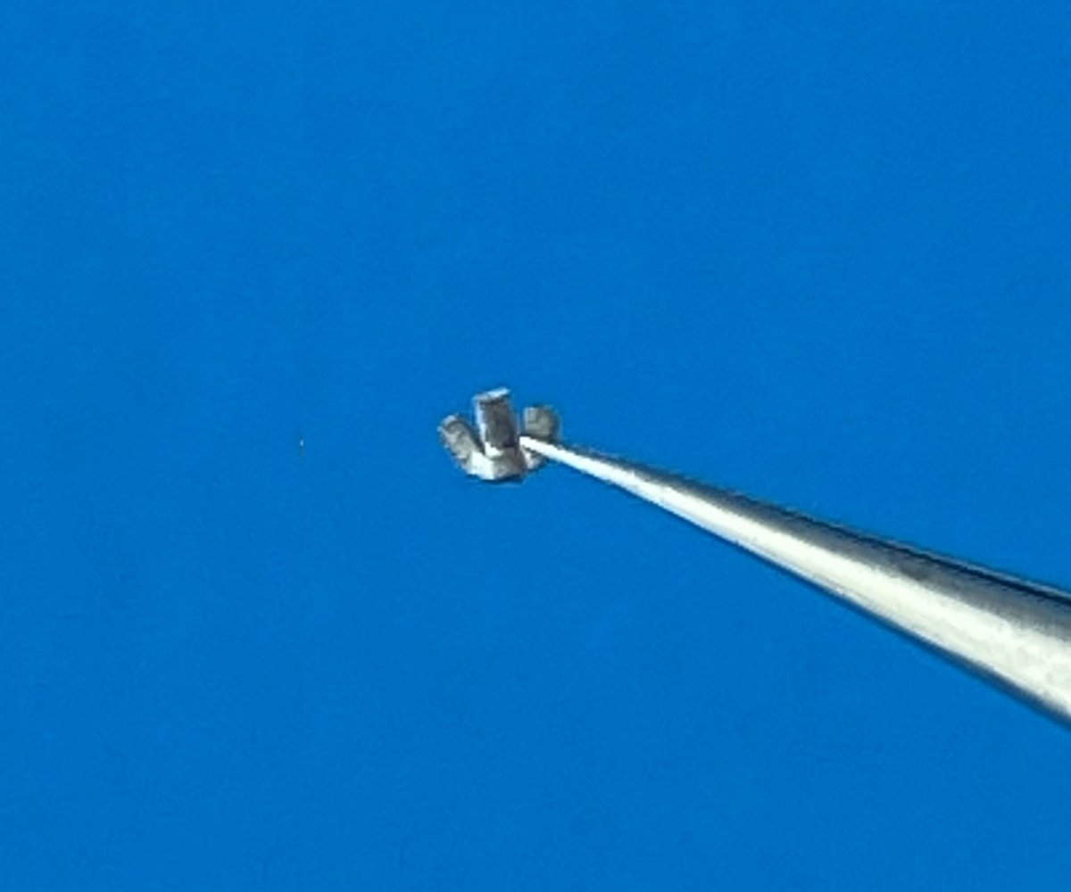 Point of no Return 1623001 Nakrętki motylkowe M6 / M6 wing nuts 1/16 – zdjęcie 6
