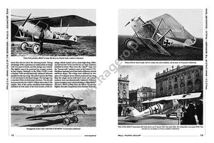 Kagero 6007 Pfalz – Avion de chasse de Rhénanie, le pays du vin (EN) – imagen 3