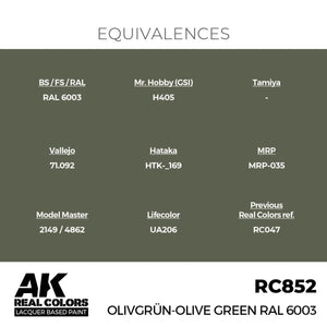 AK Interactive RC852 Vert olive RAL 6003 17 ml – imagen 3
