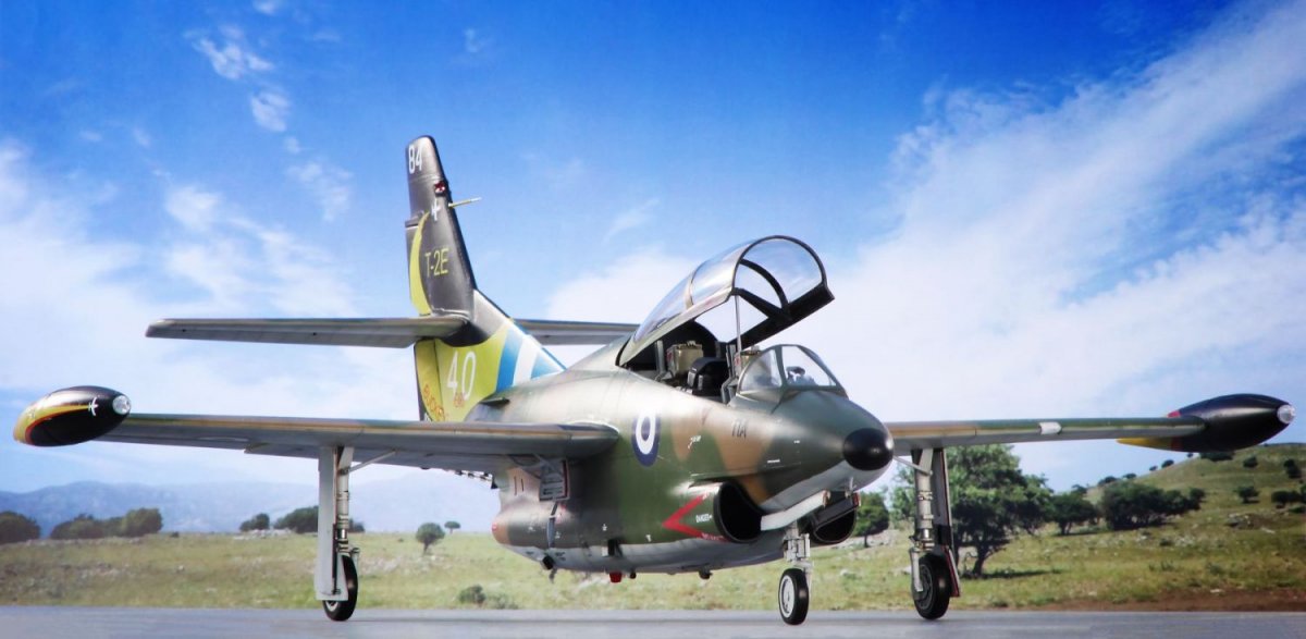 Special Hobby 32087 T-2 Buckeye Marquages ​​anniversaire 1/32 – immagine 16