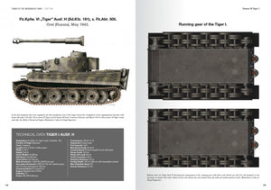 Abteilung 502 ABT760 CHARS DE LA WEHRMACHT WWII · CARLOS DE DIEGO VAQUERIZO – immagine 2