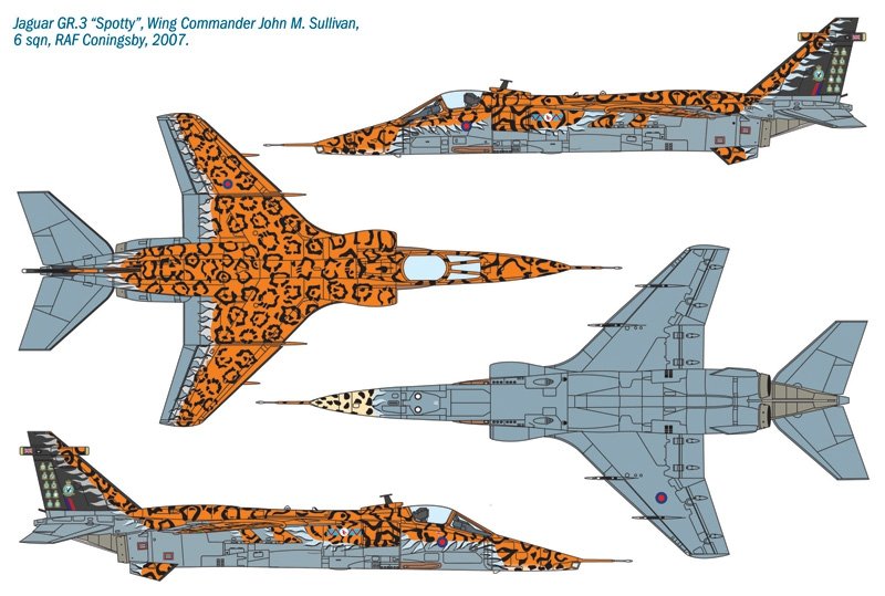 Italeri 1357 JAGUAR Gr.3 « BIG CAT » Couleurs spéciales (1/72) – image 3