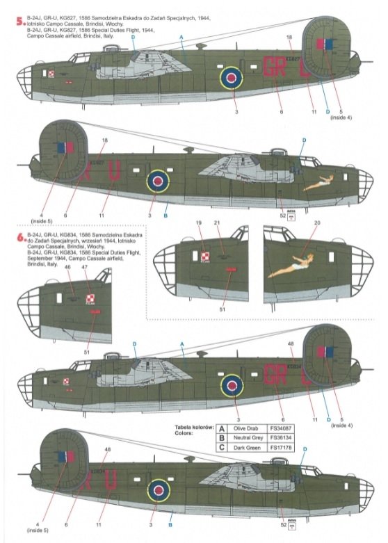 Techmod 48823 B-24 Liberator 1/48 – image 6
