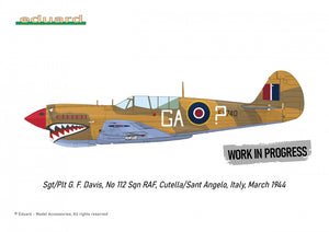 Eduard R0025 P-40N WARHAWK ROYAL CLASS DOUBLE COMBO 1/48 – Bild 6
