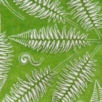 AK Interactive AK8134 FERN 1/32 ET 1/35 – immagine 2