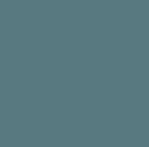 Gunze Sangyo H515 Gris délavé