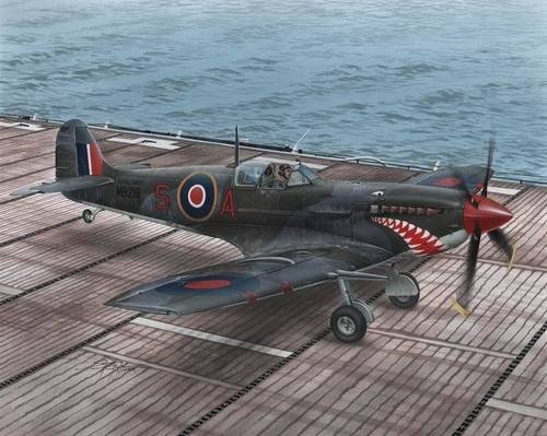 Special Hobby 48102 Supermarine Seafire Mk.II Torch &amp; Avalanche (1/48)