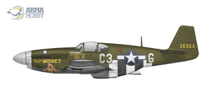 Arma Hobby 70041 P-51B Mustang 1/72 – image 8