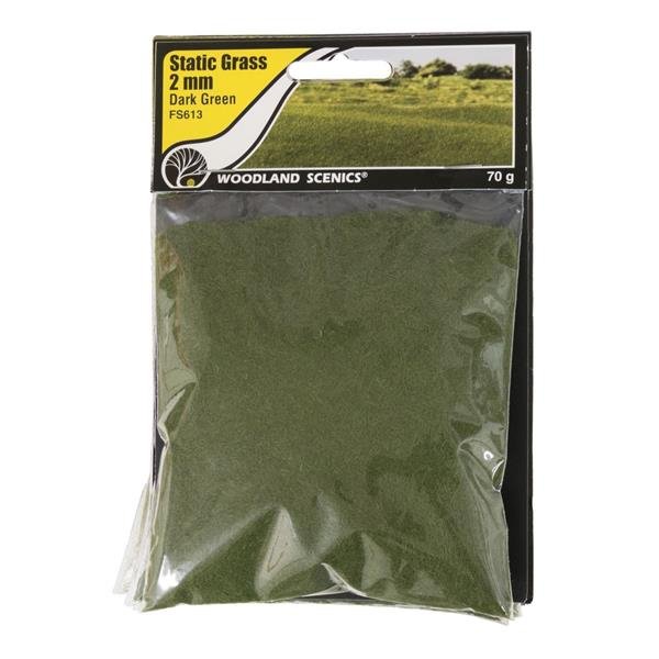 Woodland Scenics WFS613 Herbe statique 2 mm Vert foncé