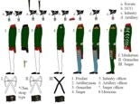 Hat 9321 Napoleonic Russian Musketeers (Action) 1/32