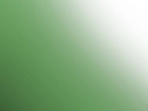 Hataka HTK-Q008 Acrylic Ink Green 17ml
