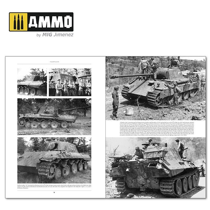 Munitions du Mig 6263 ITALIENFELDZUG. Chars et véhicules allemands 1943-1945 Vol. 2 – image 3