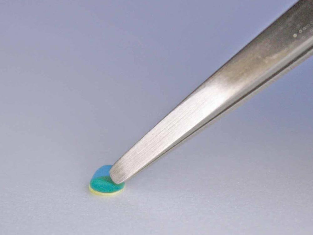 Pince à épiler de finition Hasegawa TT101 (série Trytool) – image 3