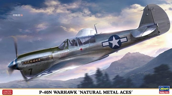 Hasegawa 07516 P-40N Warhawk « As en métal naturel » 1/48