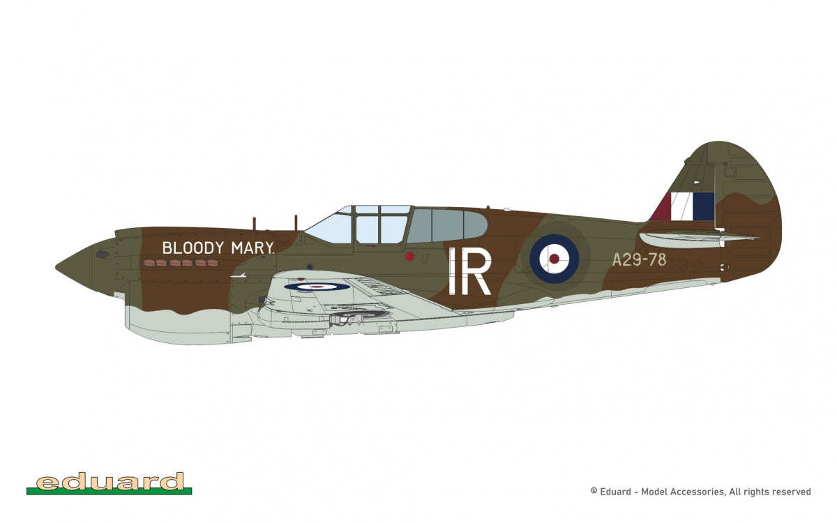 Eduard 11185 Pacific Star P-40E Warhawk - Édition limitée 1/48 – image 9