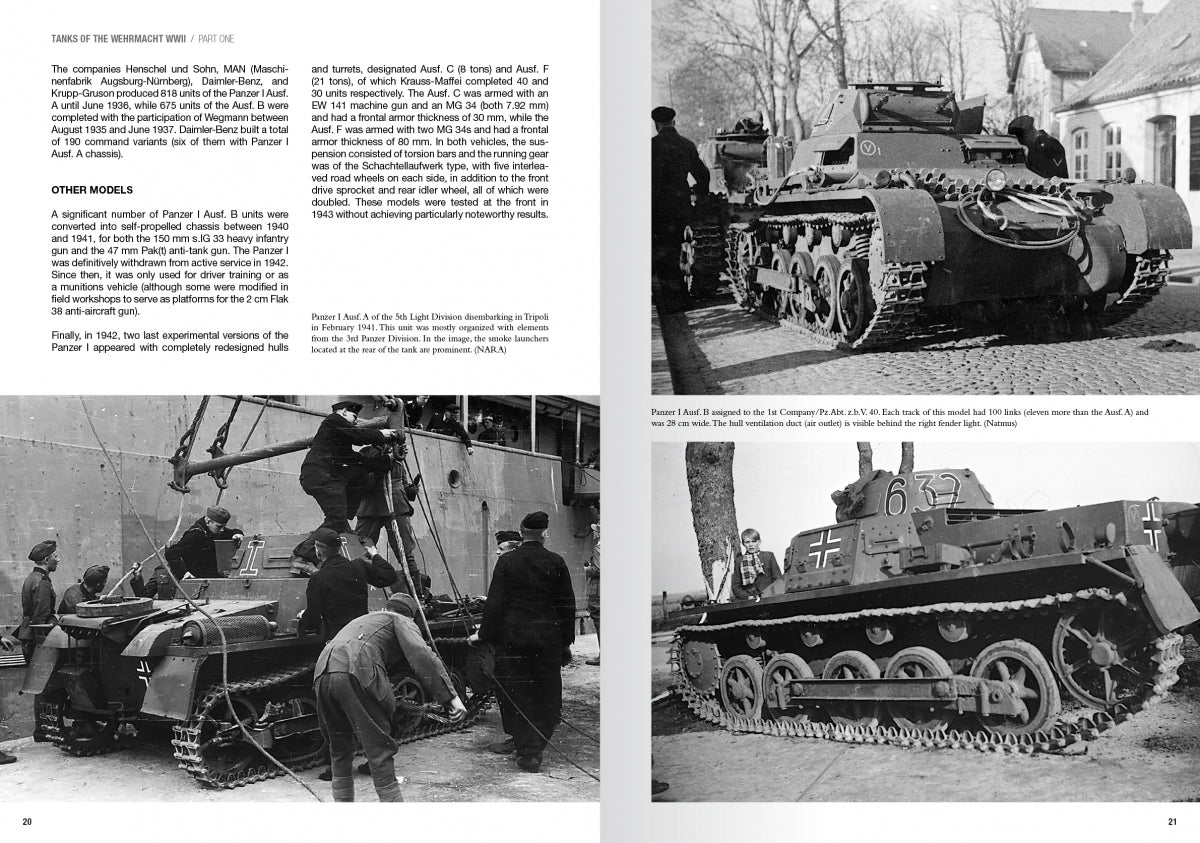 Abteilung 502 ABT760 CHARS DE LA WEHRMACHT WWII · CARLOS DE DIEGO VAQUERIZO – immagine 6