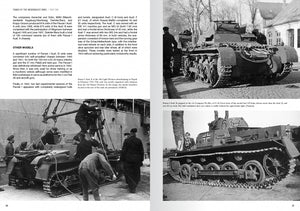 Abteilung 502 ABT760 CHARS DE LA WEHRMACHT WWII · CARLOS DE DIEGO VAQUERIZO – immagine 6