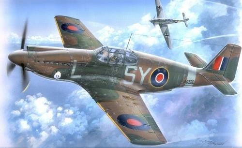 Special Hobby 72041 Mustang Mk.I (1/72) 