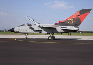 Italeri 1336 Tornado IDS/ECR Couleurs Spéciales (1/72)