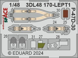 Eduard 3DL48170 P-47D-30 SPACE MINIART 1/48 – imagen 3
