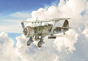 Italeri 2819 HENSCHEL HS 123 1/48
