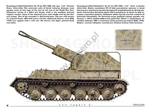 Kagero 15041 Beutepanzer (décalcomanies) PL/EN – imagen 5