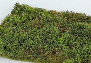 Scène miniature F571 Zone sauvage avec buissons - printemps