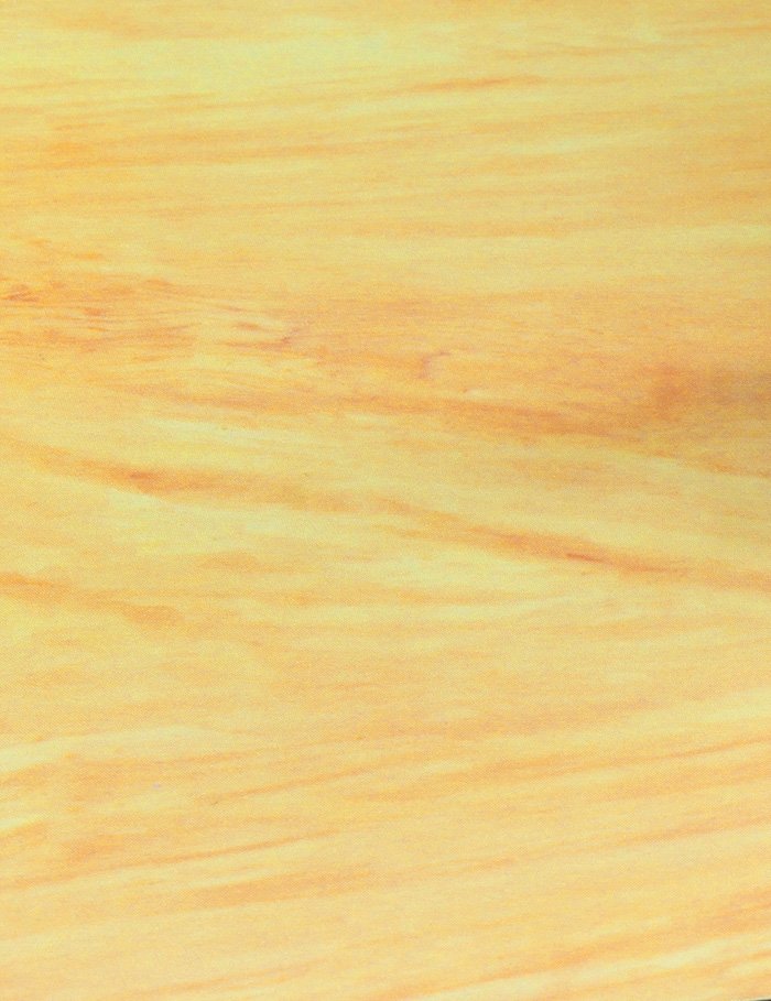 Hasegawa TF944 Finition grain de bois (érable) – image 4