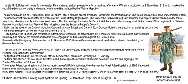 ToRo Model 35F114 Wojska Wielkopolskie 1919 - Gen. Józef Dwobor-Muśnicki / Greater Poland Forces 1919 General Józef Dowbor-Muśnicki Commander-in-chief of Greater Poland Forces 1/35 – zdjęcie 3