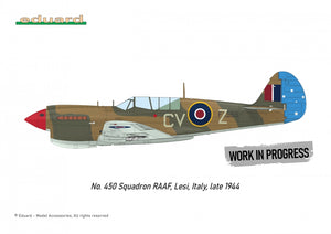 Eduard R0025 P-40N WARHAWK ROYAL CLASS DOUBLE COMBO 1/48 – Bild 4