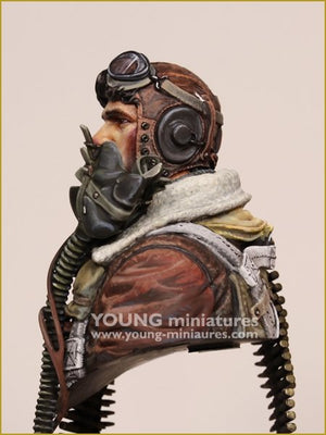 Young Miniatures YM1894 B-24 MUNNER USAAF Seconde Guerre mondiale 1/10 – immagine 8