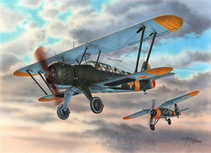 Special Hobby 72293 I.A.R. 38 1/72