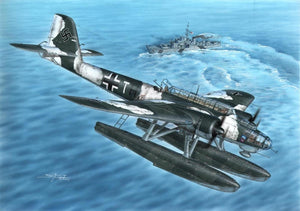Hobby spécial 48110 Heinkel He 115 1/48