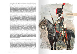 Abteilung 502 ABT755 GARDE IMPÉRIALE DE NAPOLÉON 1799-1815 FR – immagine 5